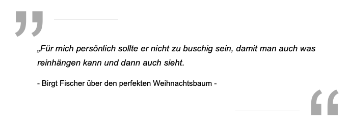 Weihanchtsbaumverkauf2