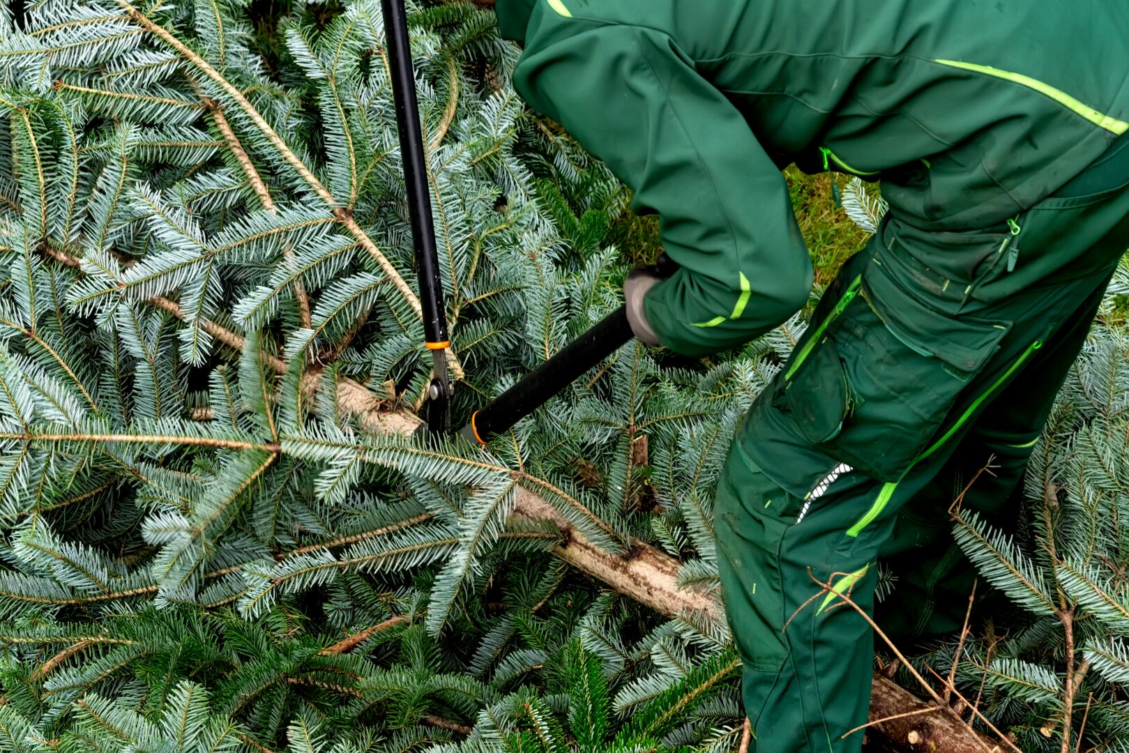 AdobeStock_385776202